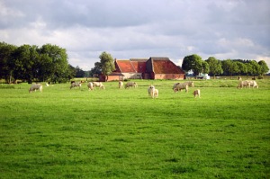 A Farm in Holland